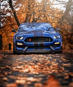 Ford Shelby GT350R Car Paint By Number
