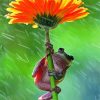 Frog Using Flower As An Umbrella In The Rain Paint By Numbers
