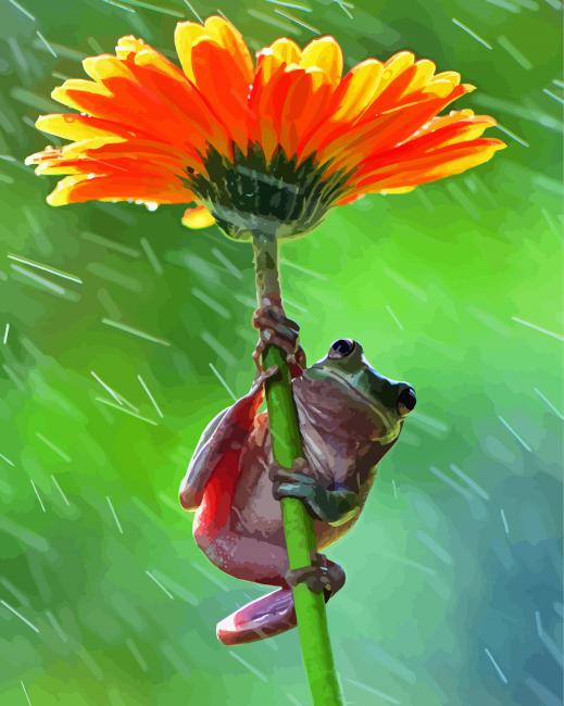 Frog Using Flower As An Umbrella In The Rain Paint By Numbers