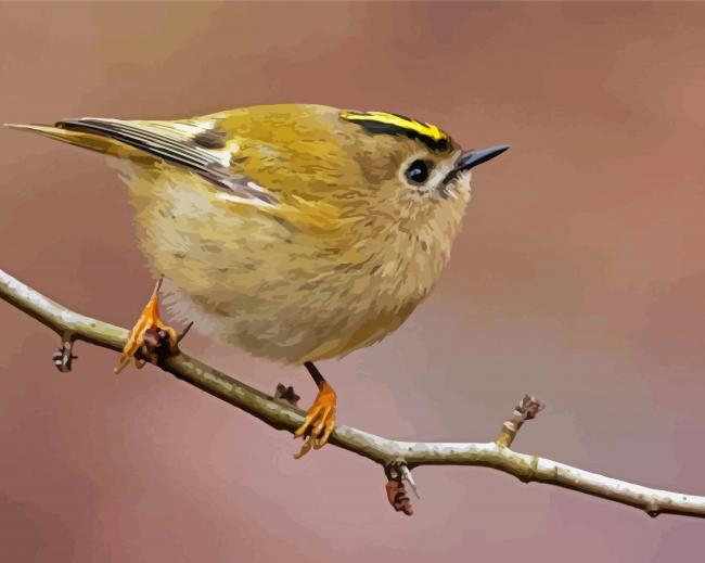 Goldcrest On Stick Paint By Numbers