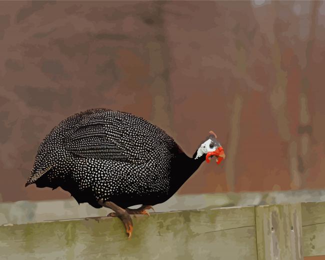 Guineafowl Bird Paint By Numbers