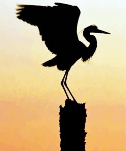 Heron Bird Silhouette Paint By Number