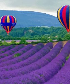Lavender Hot Air Balloons Paint By Number