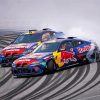 Red Bull BMW M4 Cars Paint By Number