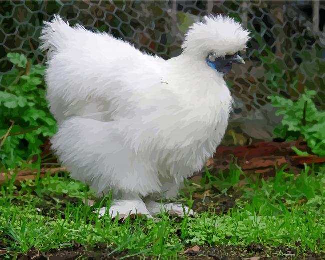 Silkie Bird Paint By Number