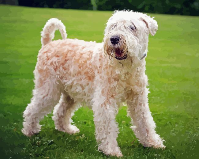 Soft Wheaten Paint By Numbers