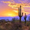 Southwest Desert Scene Sunset Paint By Number