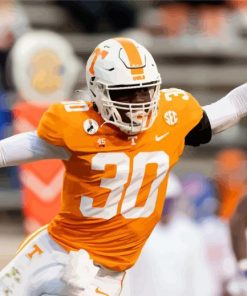 Tennessee Bold Player Paint By Number