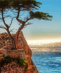Tree On Cliff By Beach Paint By Numbers