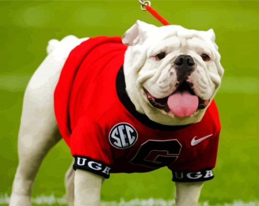 Adorable Georgia Bulldogs Paint By Number