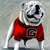Aesthetic Georgia Bulldog Paint By Number