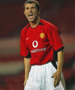 Aesthetic Roy Keane Paint By Numbers