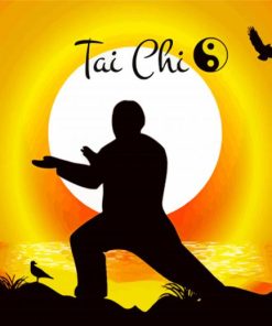 Aesthetic Tai Chi Paint By Number
