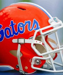 Aesthetic Florida Gators Paint By Number