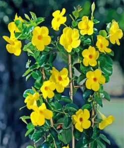 Aesthetic Yellow Rocktrumpet Paint By Number
