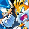 Angry Sonic And Tails Paint By Number