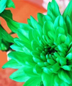 Beautiful Green Flowers Paint By Number