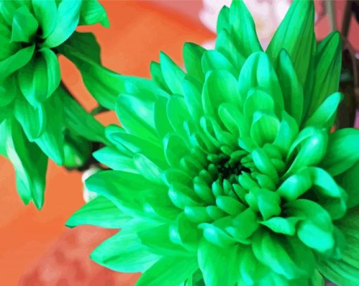 Beautiful Green Flowers Paint By Number
