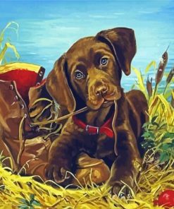 Brown English Labrador Puppy Paint By Numbers