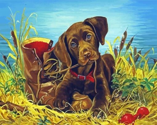 Brown English Labrador Puppy Paint By Numbers