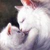 Cat Mother And Her Baby Kitten Art Paint By Number