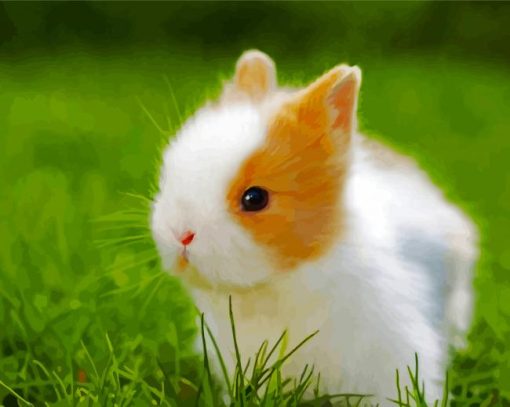 Cute Baby Rabbit Paint By Number