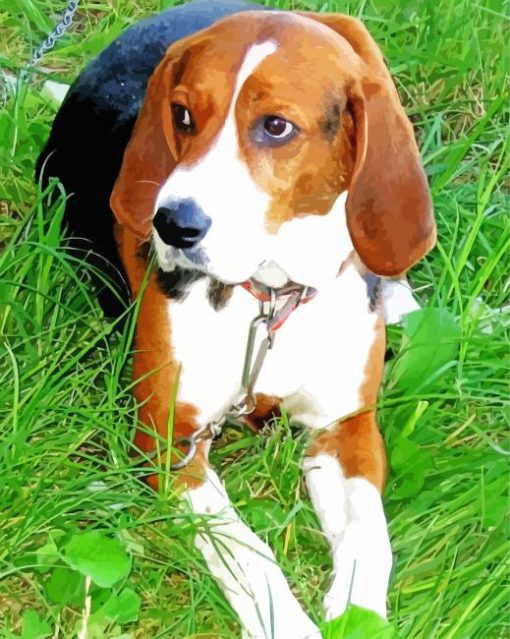 Finnish Hound Puppy Paint By Number