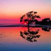 Purple Sunset Australian Landscape Paint By Numbers
