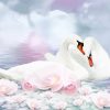 Romantic Swan Art Paint By Numbers