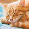 Sleepy Orange Tabby Cat Paint By Numbers