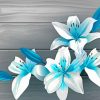 Tropical White And Blue Flowers Paint By Numbers