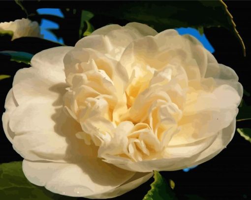 White Camellias Flowers Paint By Numbers