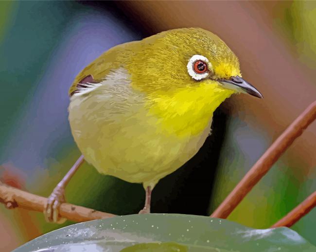 Wonderful Ring Eyed Bird Paint By Numbers