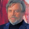 Actor Mark Hamill Paint By Numbers