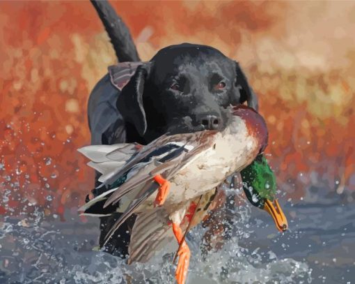 Adorable Labrador Hunting Bird Paint By Numbers