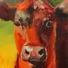 Aesthetic Cow Portrait Paint By Numbers