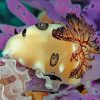 Aesthetic Sea Slug Animal Paint By Numbers