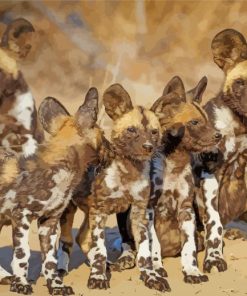 African Hunting Dogs Paint By Number