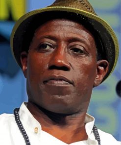American Wesley Snipes Paint By Numbers