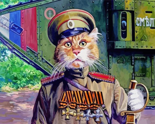 Army Cat Paint By Numbers