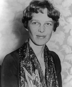Black And White Amelia Earhart Paint By Numbers