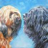 Black And Brown Briard Dogs Art Paint By Numbers