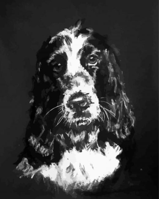 Black And White Cocker Spaniel Art Paint By Numbers