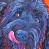 Black Labradoodle Art Paint By Numbers