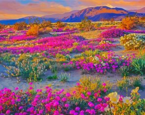 Blooming Desert Landscape Paint By Number