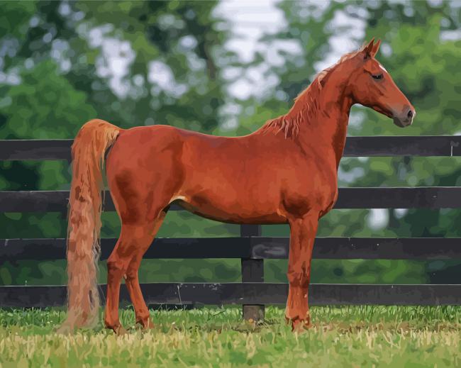 Brown Saddlebred Horse Paint By Number
