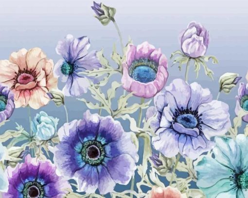 Colorful Anemone Flowers Paint By Numbers
