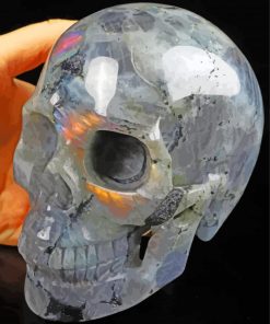 Crystal Skull Paint By Number