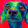 Dachshund Dog Colorful Paint By Number