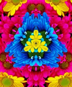 Daisy Flower Kaleidoscope Paint By Numbers